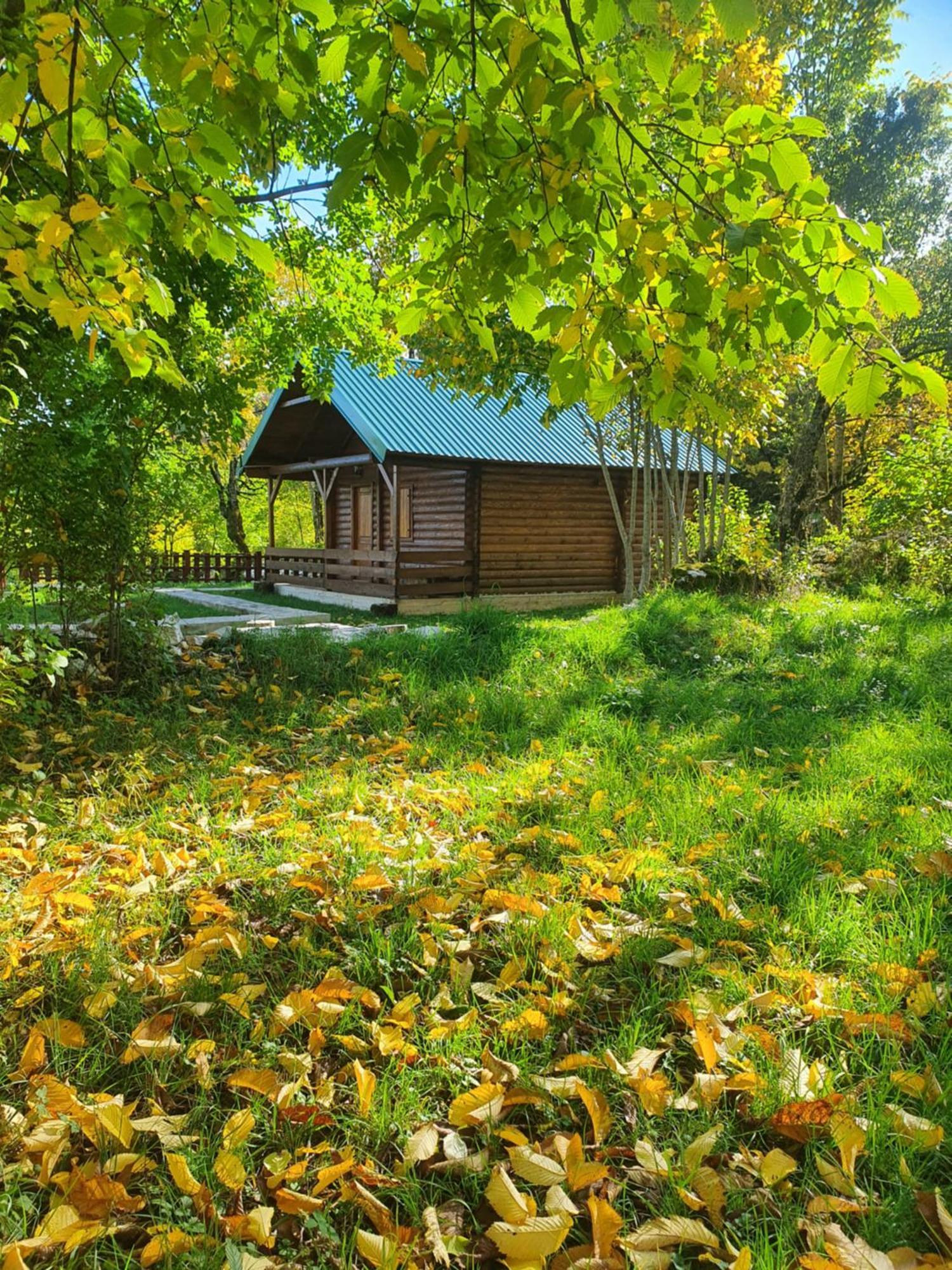 Cabin House Dubovik Cetinje Exteriör bild