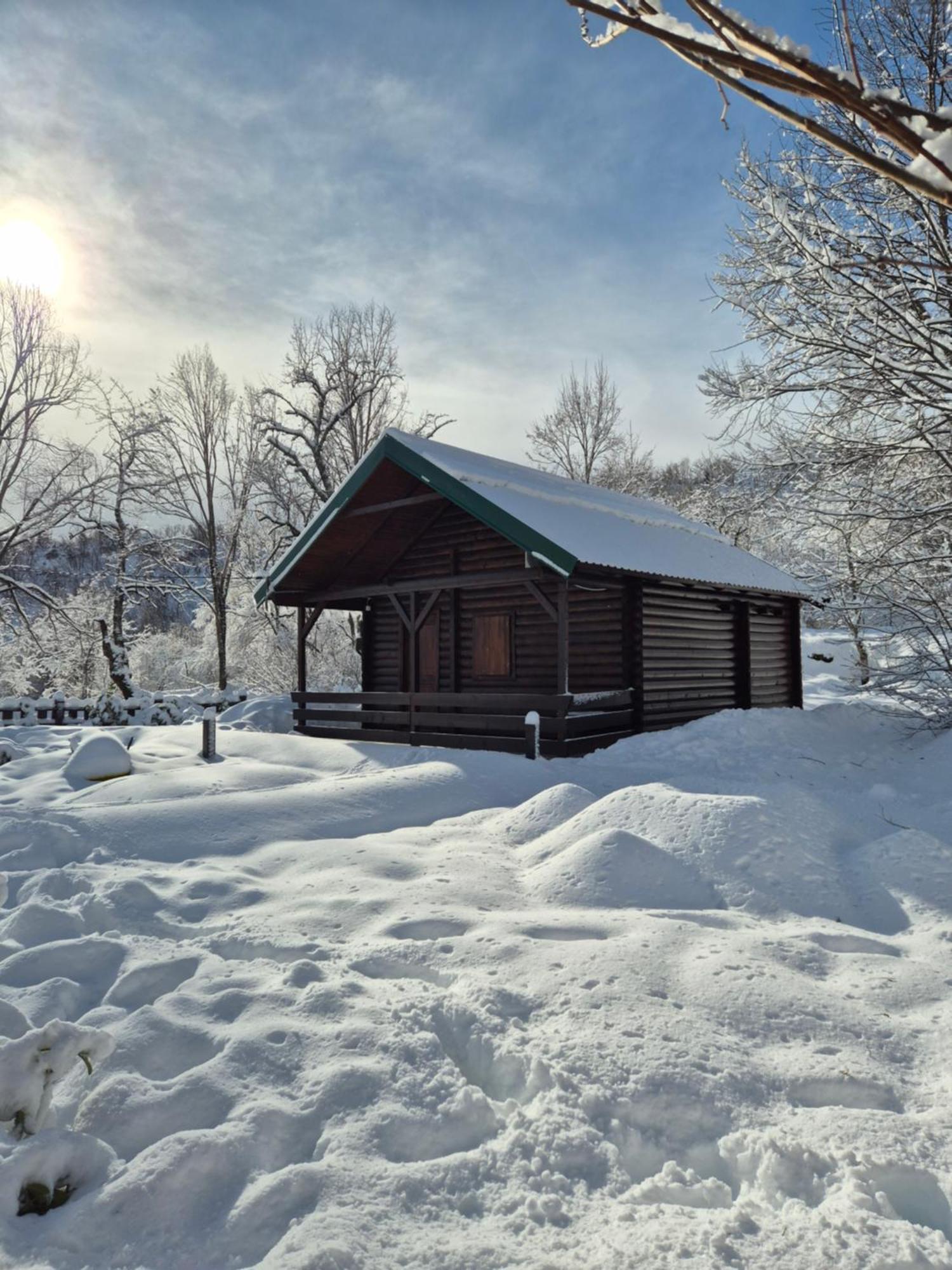 Cabin House Dubovik Cetinje Exteriör bild