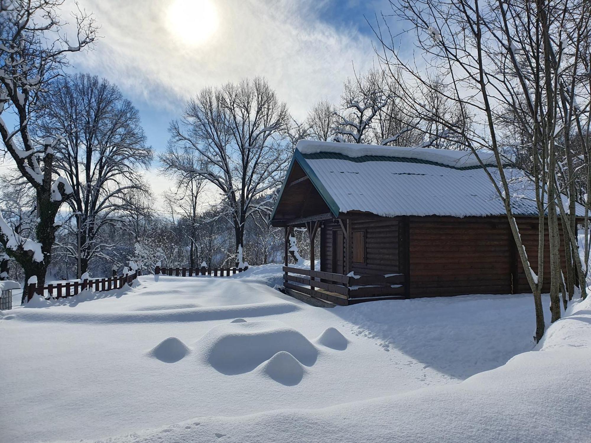 Cabin House Dubovik Cetinje Exteriör bild